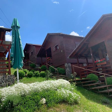 Cristal De Sare Apartment Praid Exterior photo